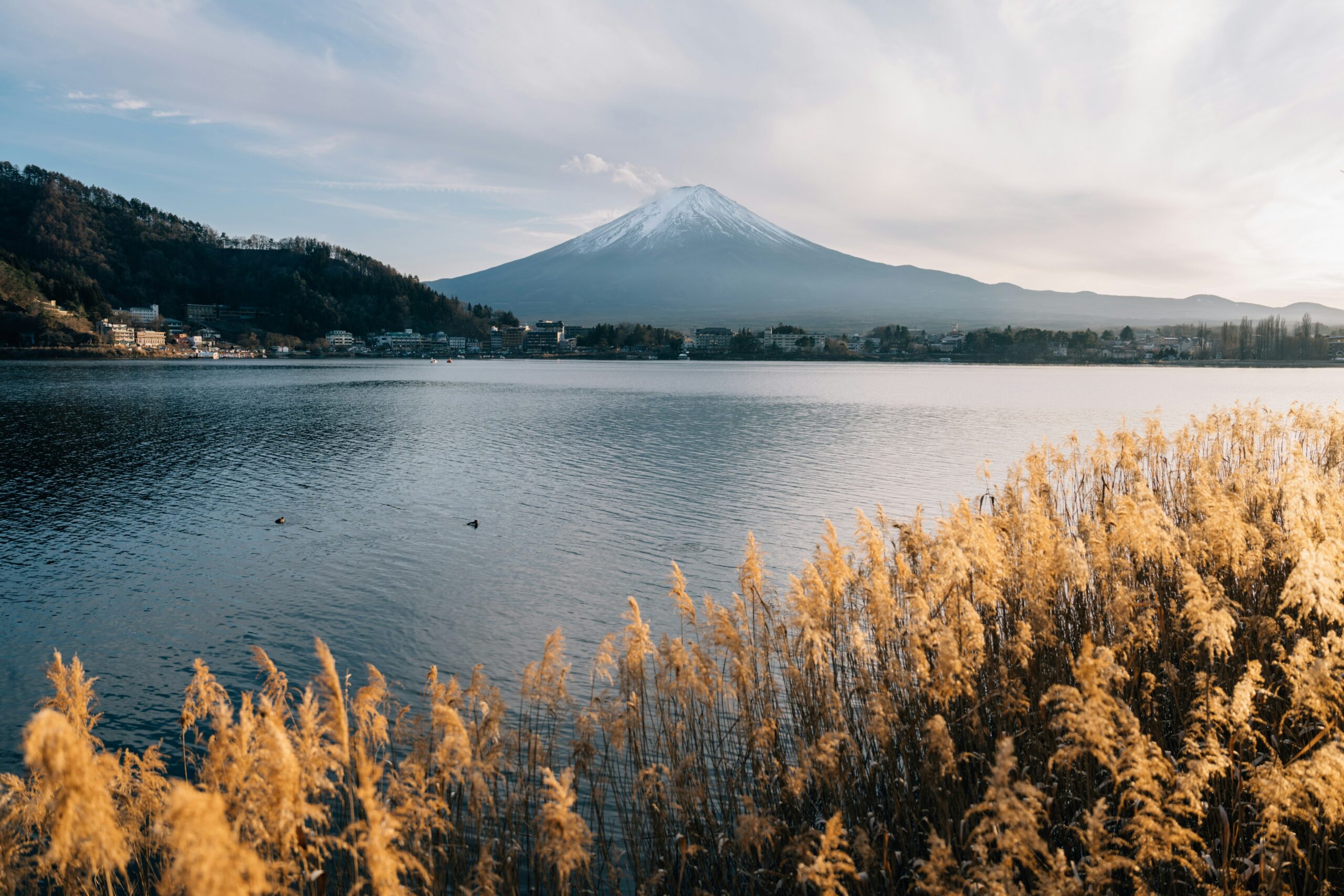富士の麓の風景